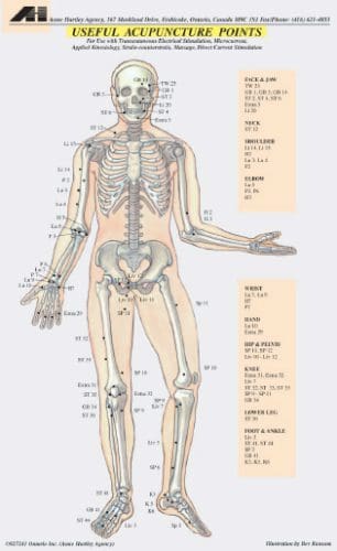 A diagram of the human body with labels on it.